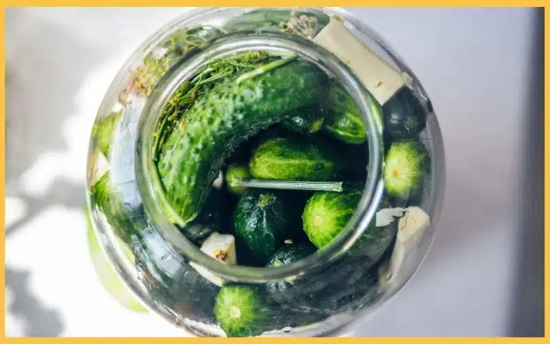 A top view of a glass jar filled with various green cucumbers and herbs, submerged in a brine solution.