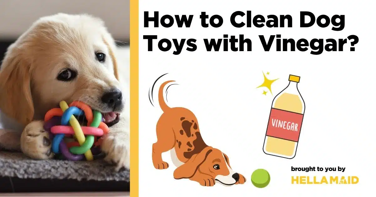 A playful puppy nibbles on a colorful toy and a text about how to clean dog toys with vinegar.