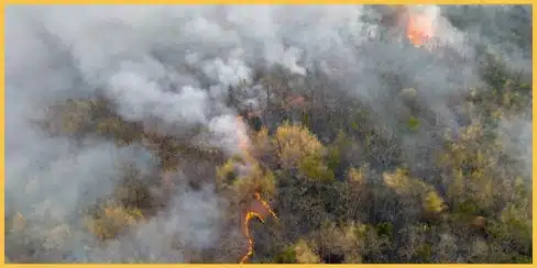Bird’s-eye view of a forest wildfire with thick smoke rising
