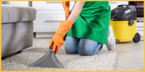 A professional cleaner in Kitchener vacuuming a carpet.