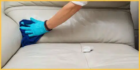 Gloved hands of a professional cleaner in Canada wiping leather furniture.