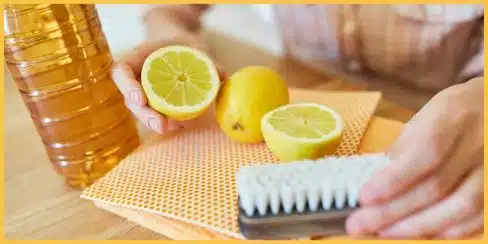 Bottle of vinegar and citrus with a brush for removing gum stain from a couch.