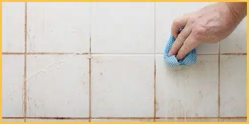 A professional cleaner in Canada wiping bathroom stains.