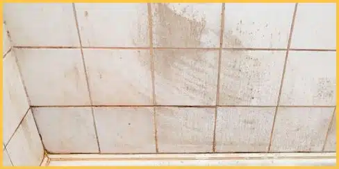 Orange stains on bathroom tiles.