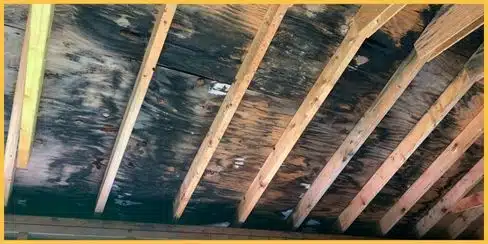 Wooden attic ceilings with black molds.