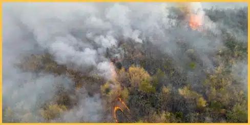 Edmonton, Alberta's wildfire and smoke.