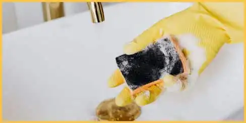 A reliable cleaning professional holding a sponge.