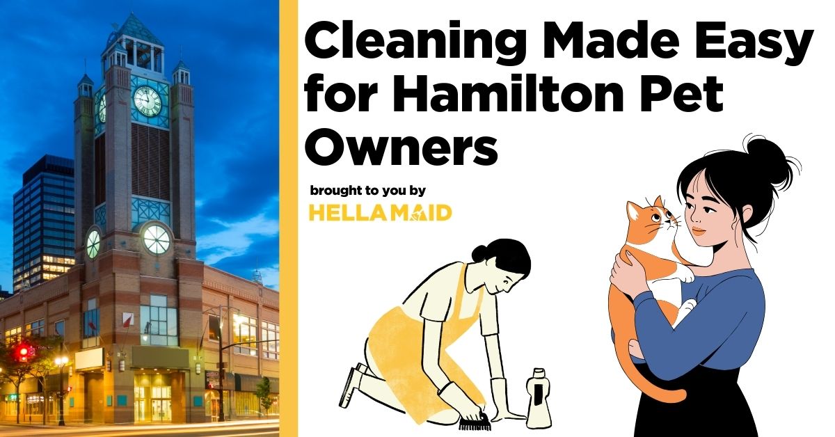 An image of Hamilton City centre shopping mall in Canada, plus separate illustrations of a pet owner with her cat and a Hellamaid cleaning professional, with text highlighting Hamilton homes with pets how to keep clean and fresh.