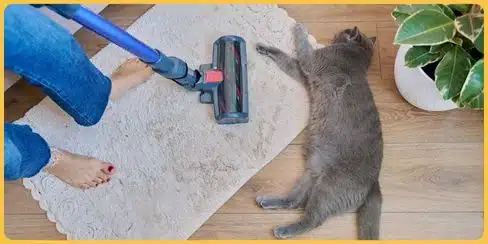 A cleaner mopping the carpet beside a sleeping cat.