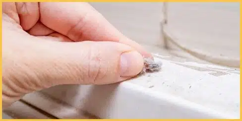 A hand holding a piece of dust.