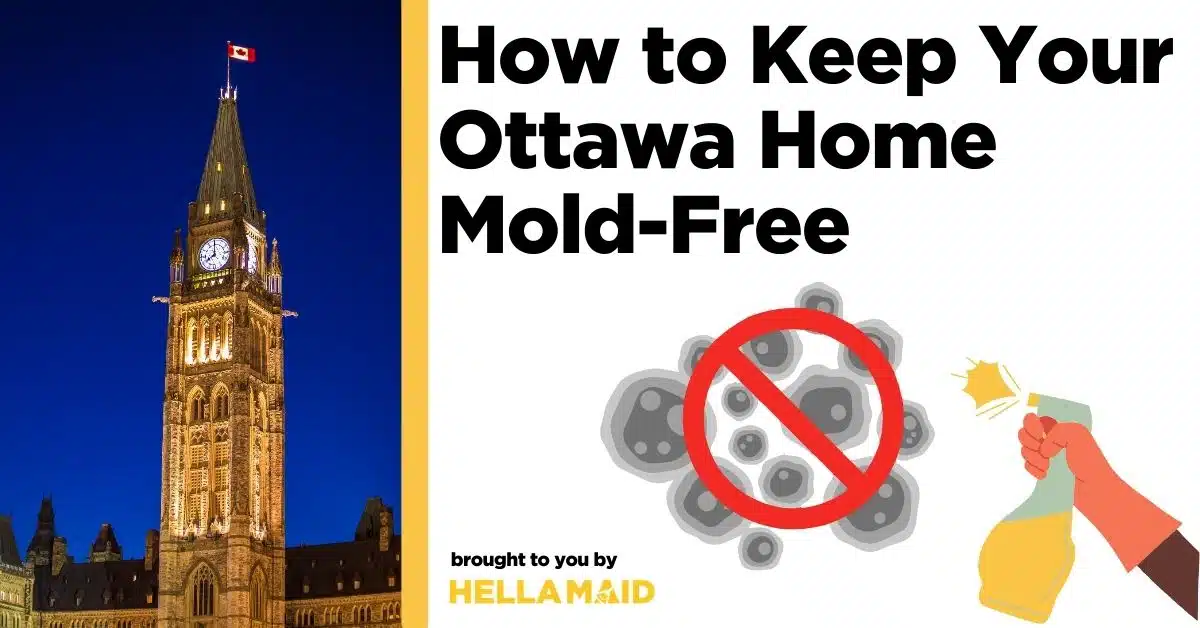 Ottawa’s Peach Tower with illustrated graphics showing mold prevention steps and text about preventing mold in Ottawa homes.