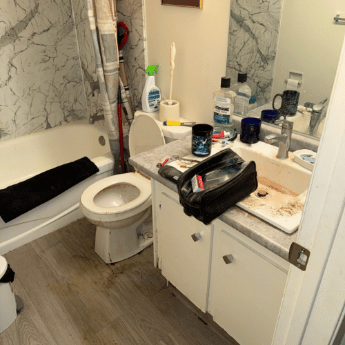 Bathroom before Hellamaid clean