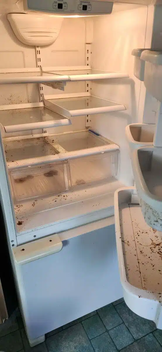 Fridge before Hellamaid deep clean