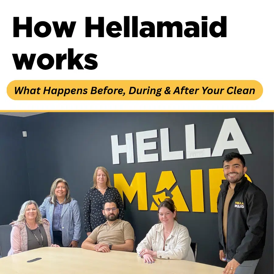 The Hellamaid scheduling, support and quality team in the Hellamaid office